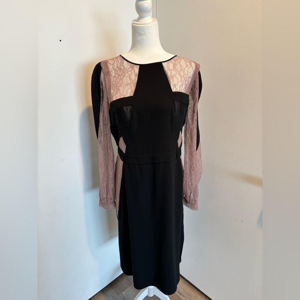BCBGMaxAzria Black Dress with Sheer Pink Sleeves